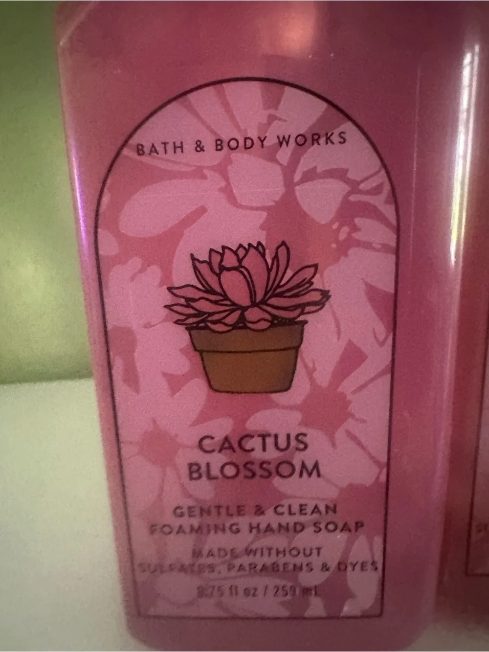 Bath & Body Works Cactus Blossom Foaming Hand Soap - Pink with Black Pump